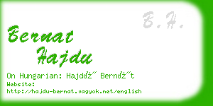 bernat hajdu business card